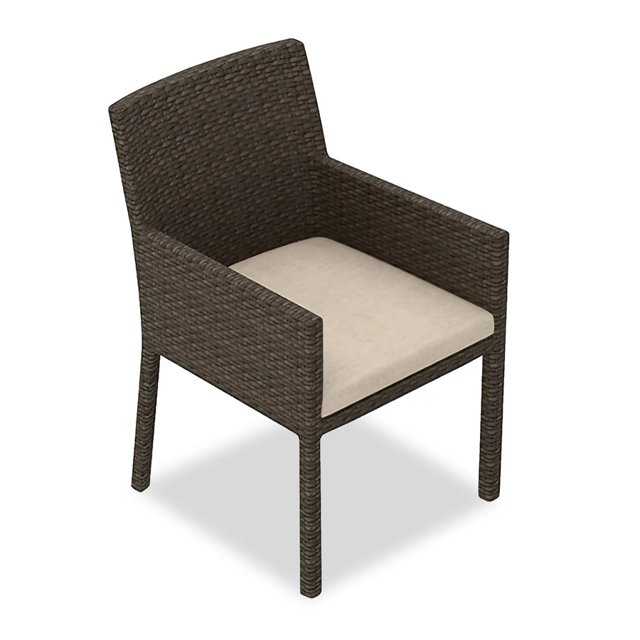 Arden Dining Arm Chair by Harmonia Living
