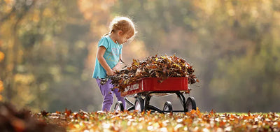 Top 10 Reasons Why We Love the Fall Season