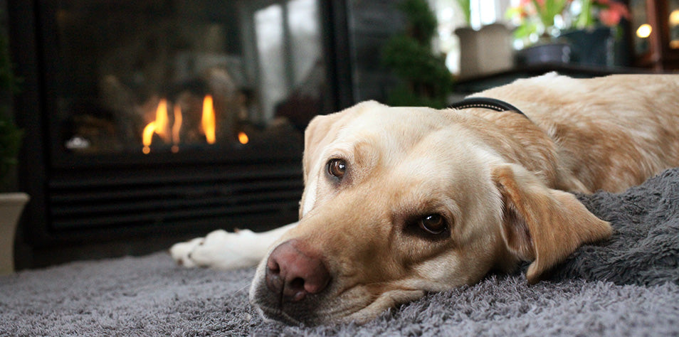 Why Do Some States Ban Vent-Free Gas Fireplaces?