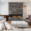 EcoSmart Fire Flex Bay Bioethanol Fireplace Insert
