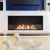 EcoSmart Fire Flex Single Sided Bioethanol Fireplace Insert