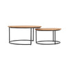 Finn 2 Piece Nesting Coffee Tables Set by Harmonia Living