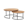 Finn 2 Piece Nesting Coffee Tables Set by Harmonia Living