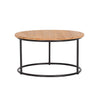 Finn 2 Piece Nesting Coffee Tables Set by Harmonia Living