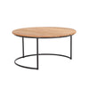 Finn 2 Piece Nesting Coffee Tables Set by Harmonia Living