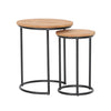 Finn 2 Piece Nesting End Tables Set by Harmonia Living