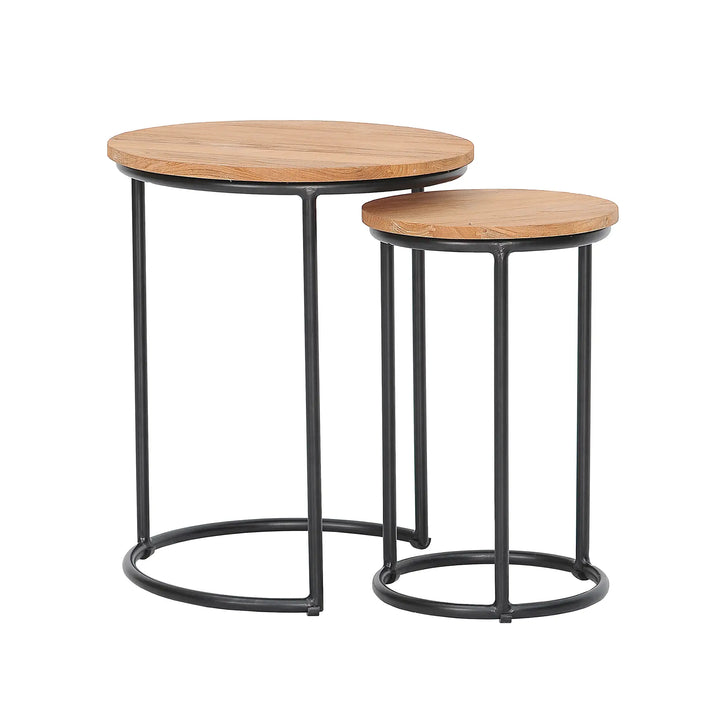 Finn 2 Piece Nesting End Tables Set by Harmonia Living