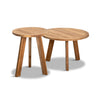 Link 2 Piece End Tables Set by Harmonia Living