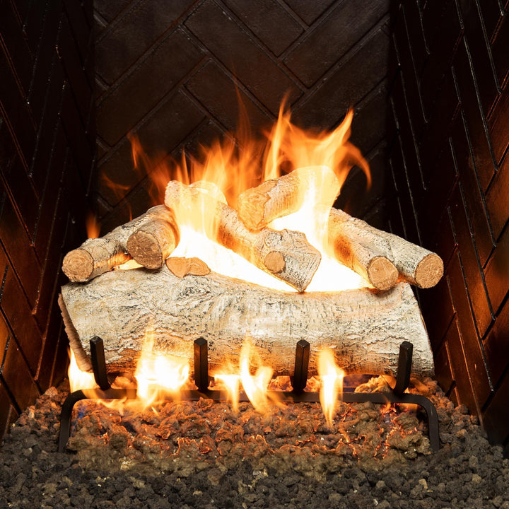 18" Mountain Birch Gas Logs & Vented G45 Fireplace Burner in Propane w/Assembled ANSI Certified Safety Pilot by Real Fyre - Previous Season - Clearance