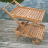 Tray Cart