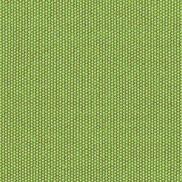 swatch:Fabric:Kiwi